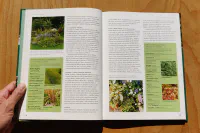 Úpravy zahrádek - Image 7