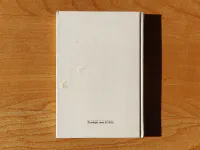 V bažinách Ardistanu - Image 2