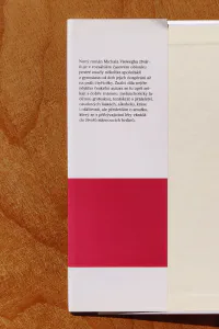 Vybíjená - Image 2