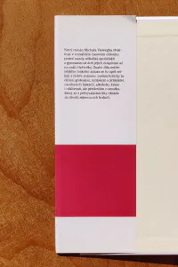 Vybíjená - Image 2