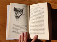 Vzpomínky kočičího doktora - Image 3